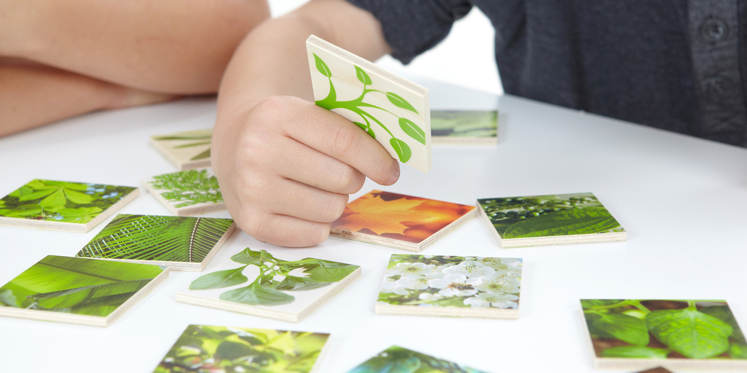 Lernspiel mit Bildmotiven und Details aus der Natur: Blätter, Blüten etc.